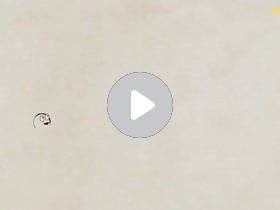 Atributul. Atributul adjectival.mp4